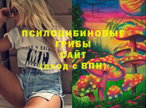 МДПВ Алексин