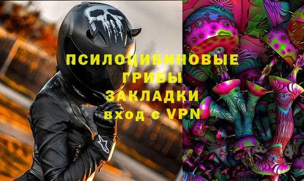 Альфа ПВП Алзамай
